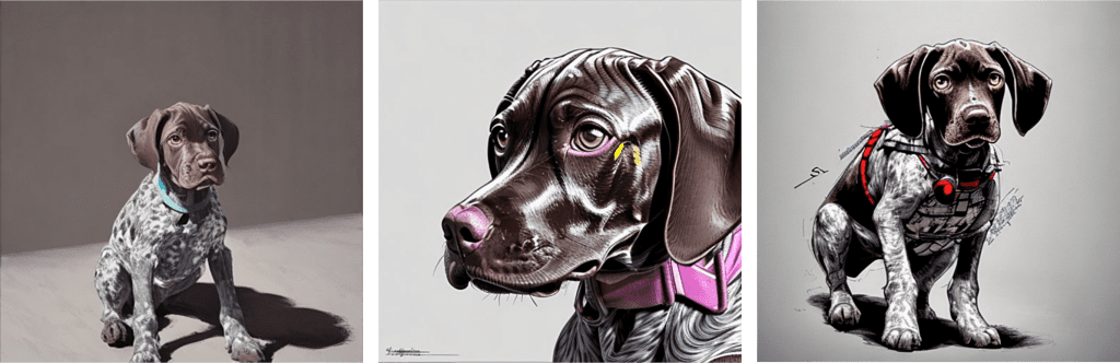 Image test generation